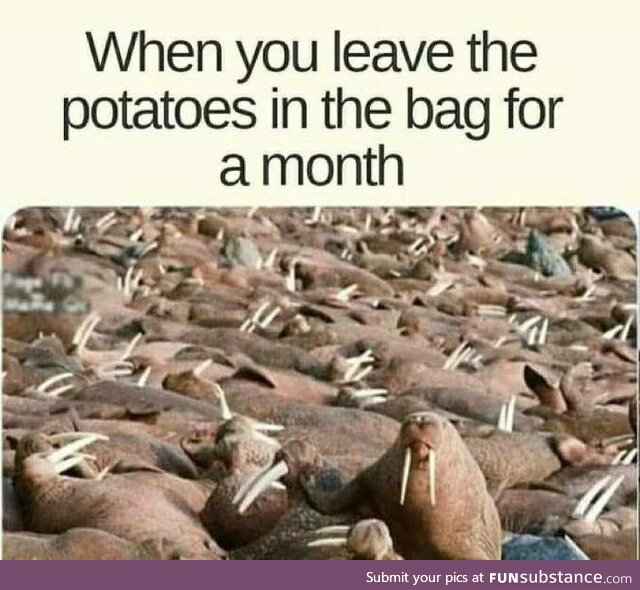 potatoes