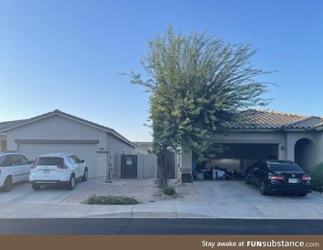 Homeowner unhappy with how neighbor cut branches that were hanging over their property