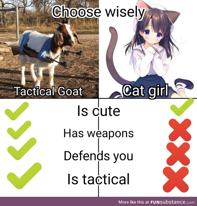 Double barreled goatling gun