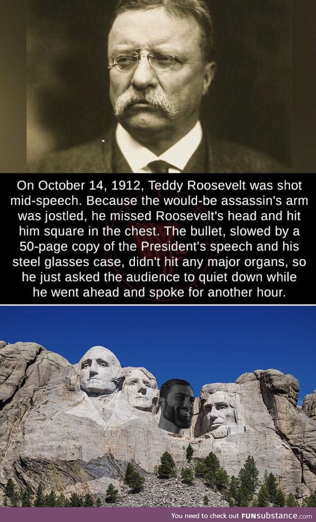 Chad roosevelt