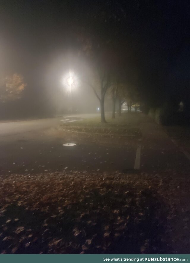 fog