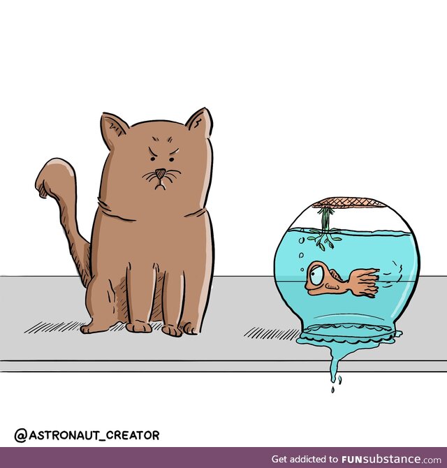 Cat fish