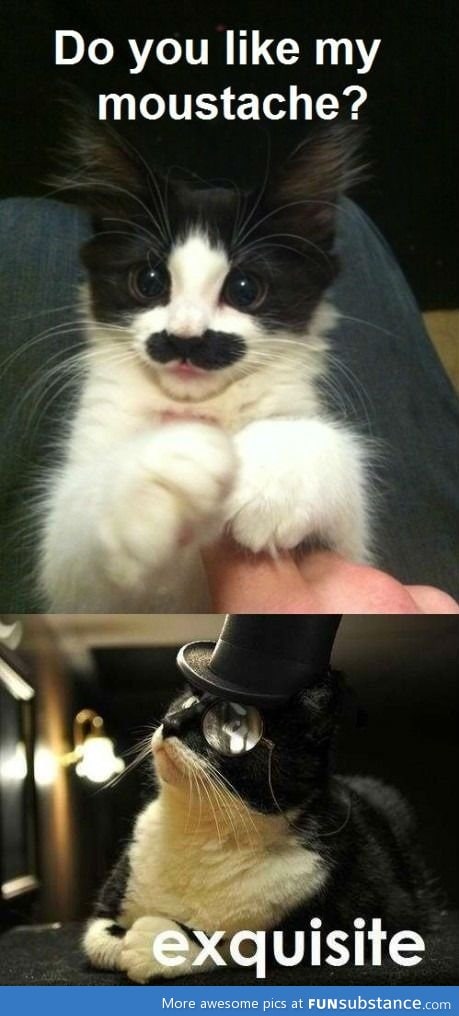 like a sir