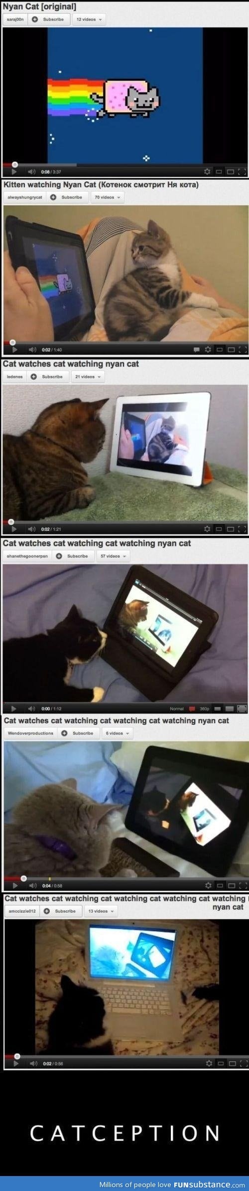 Catception