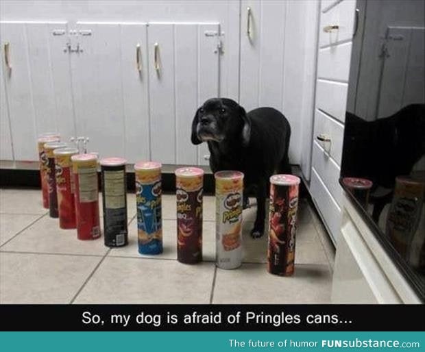 Beware of the pringles man