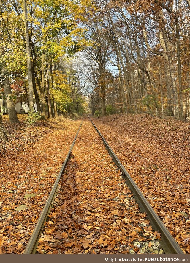 Unused railway in northern DE