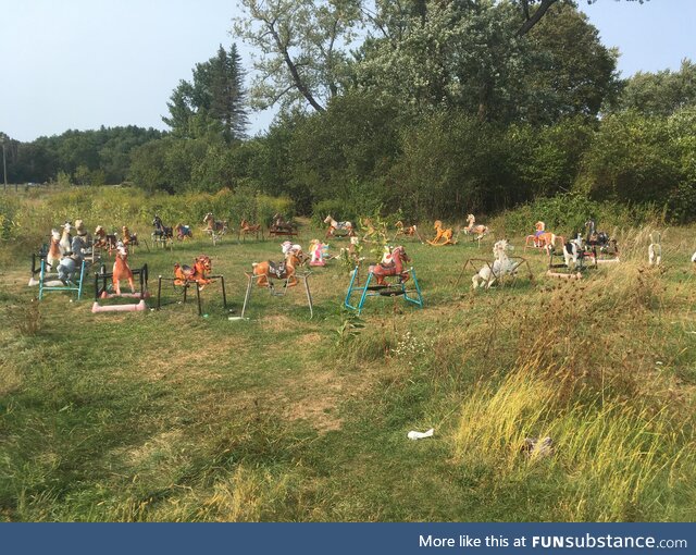 Ponyhenge, in Lincoln, Massachusetts