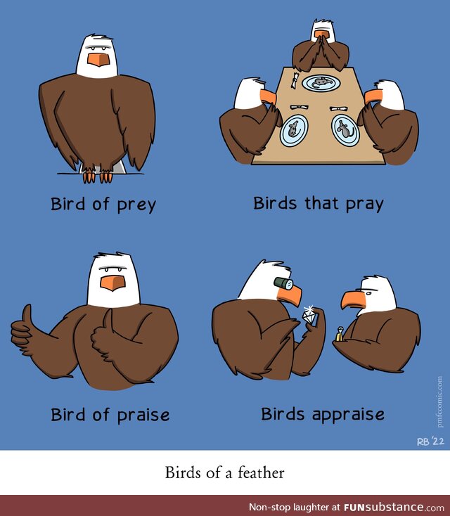 Birds