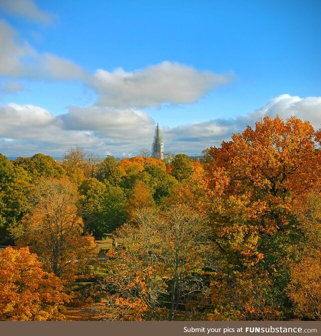 Autumn in Linköping, Sweden