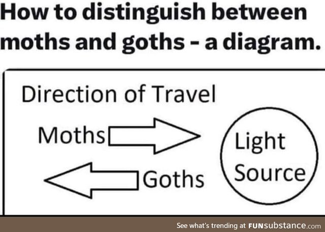 Moth/goth dichotomy