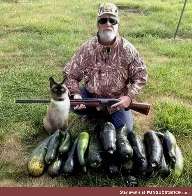 Vegan hunters be like ..