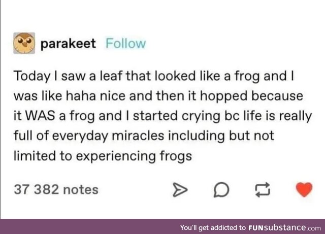 Froggo!