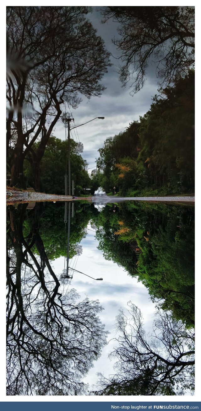 Puddle picture :)