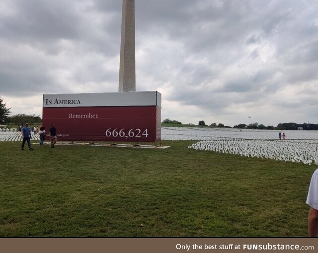 666,624 flags at the Washington monument, representing every COVID-19 death in the United