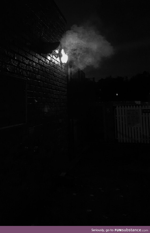 [OC] mobile phone late night dog walk shot