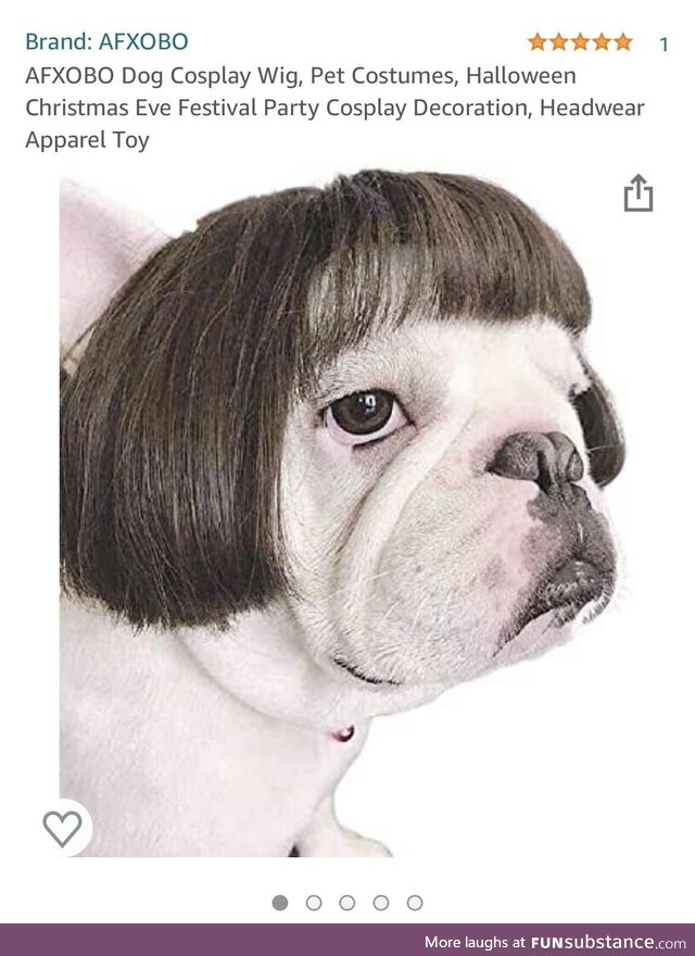 There are wigs for dogs