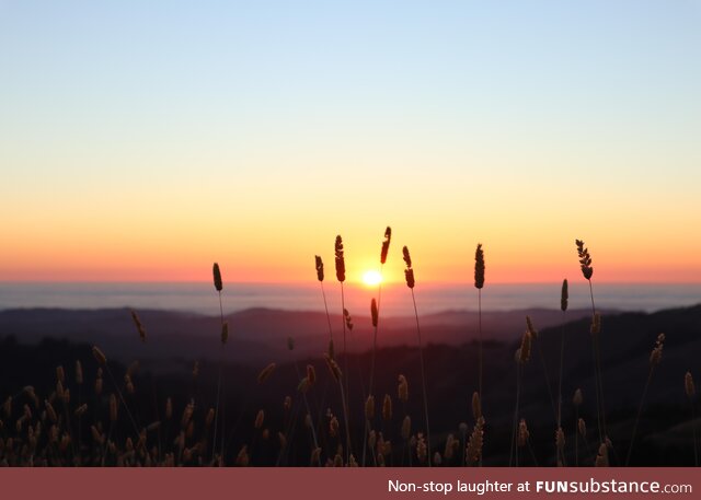 Ridge trail, california