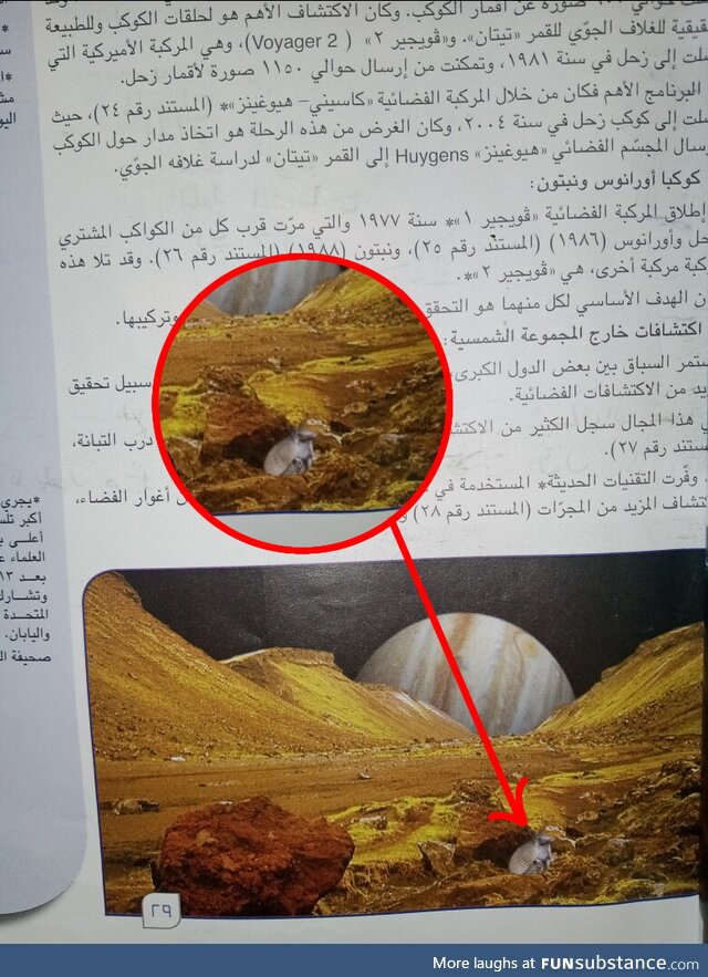 Geography Schoolbook has an Image ofJupiter's Moon's Surface, Containing an Armadillo??