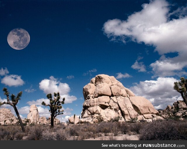 Full moon Joshua Tree