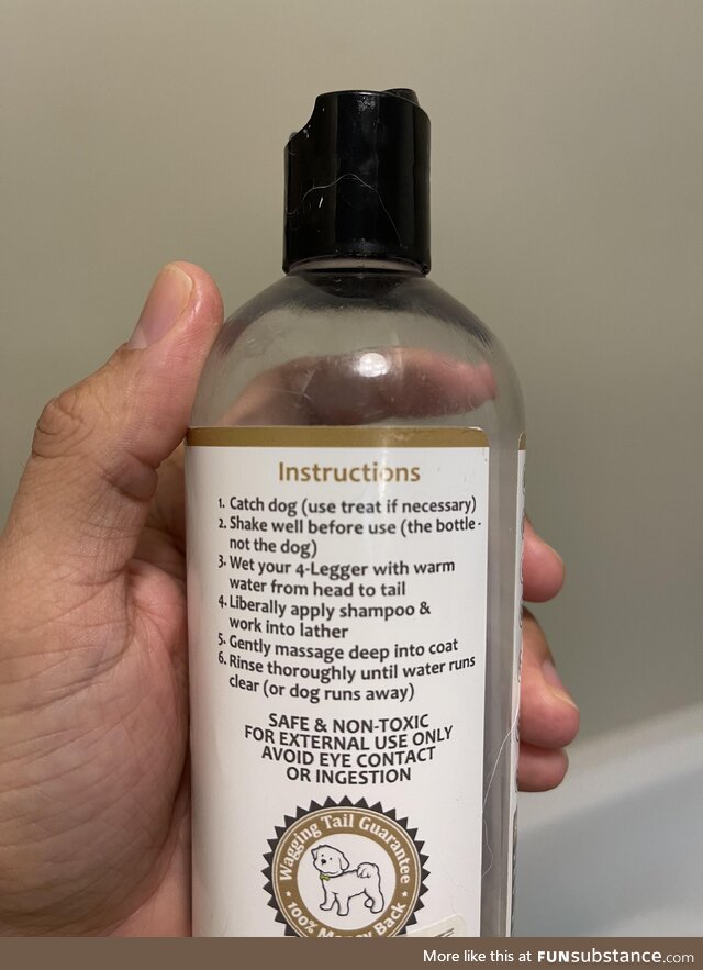 Should’ve read the instructions thoroughly before shaking the dog (4 Legger dog shampoo)