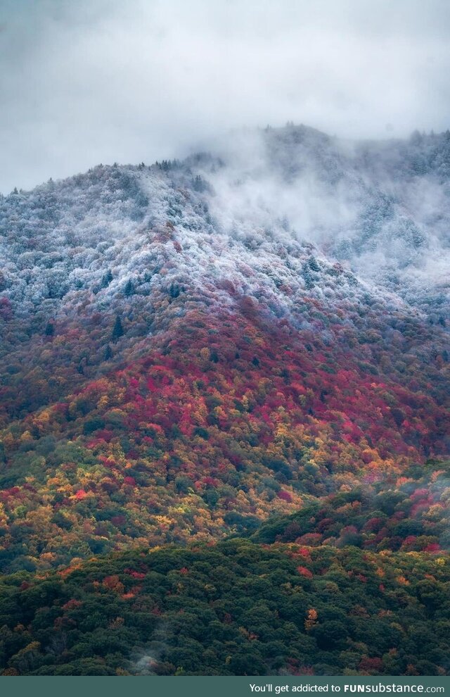 A tale of two seasons north carolina 10/16