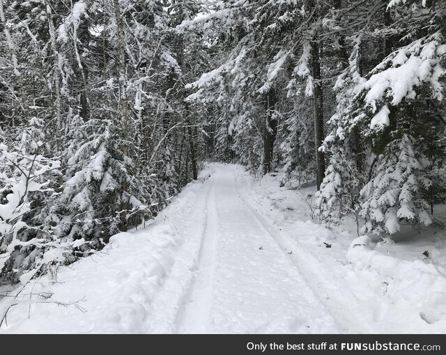 A photo I took while out land surveying a few winters ago in Maine, morning after