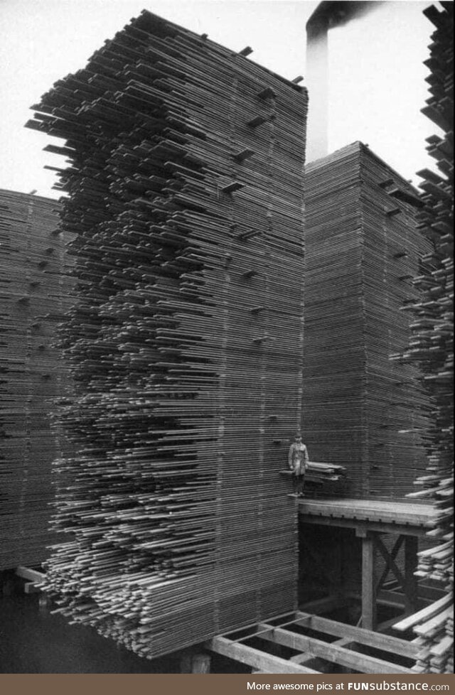 Lumber yard in Seattle-1919