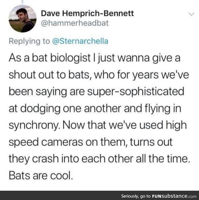 Bat!