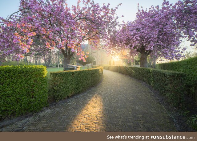 A beautiful spring morning in The Netherlands. [OC]