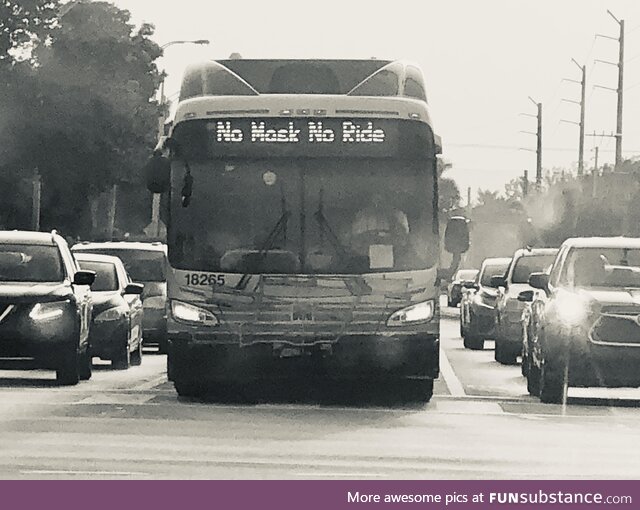 A Bus in Florida Today