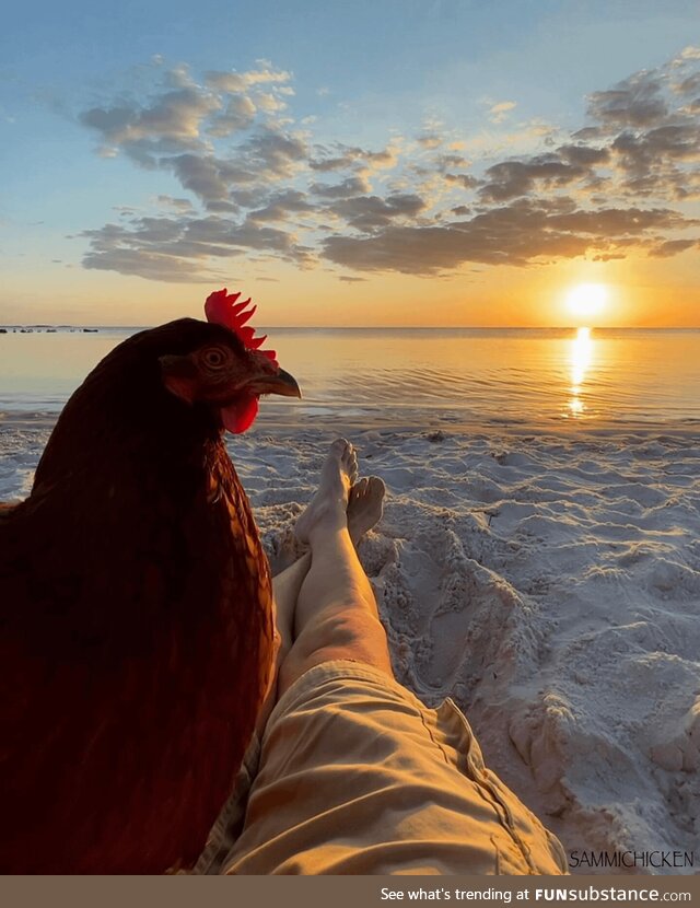 Watching the sunset on the beach