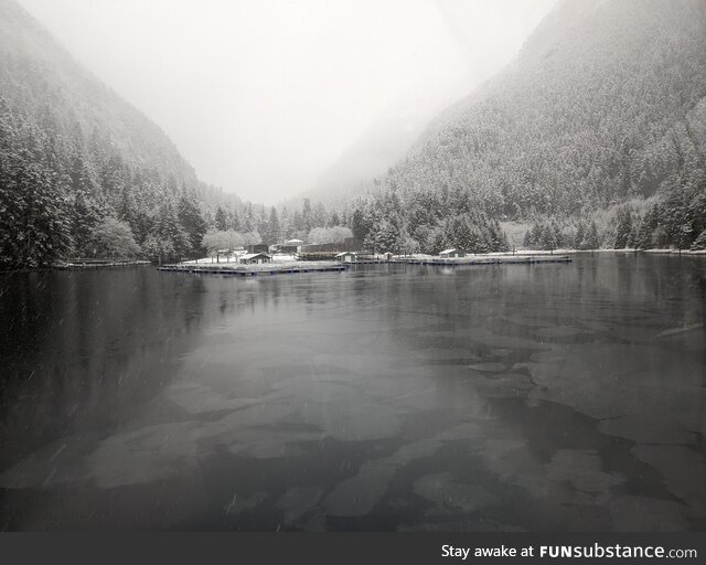 Took this picture at the Deep Inlet Terminal Harvest Area in SE Alaska. Full Color, no