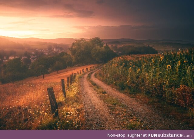 German Odenwald - After a heavy rainfall [OC]