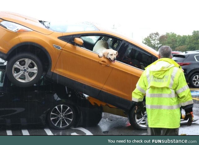 (not so) good boy drives up another car