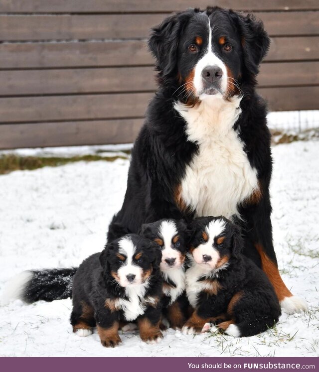 Beautiful family