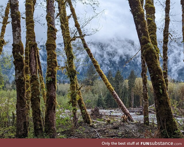 [oc] olympic national park