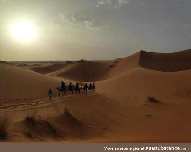 Sunset in the Sahara Desert