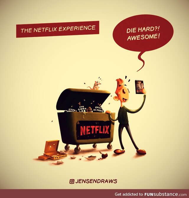 The netflix experience