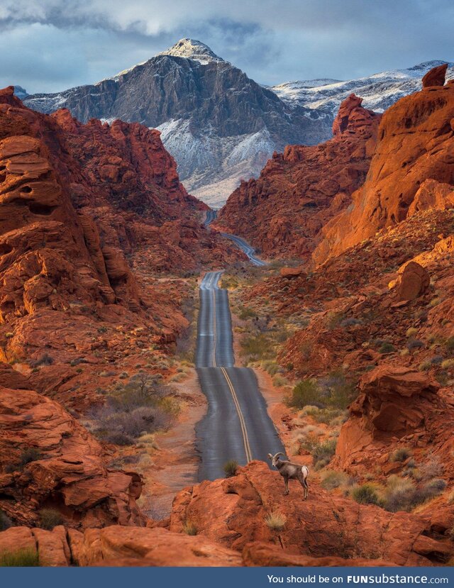 The Valley of Fire - Christopher Balladarez