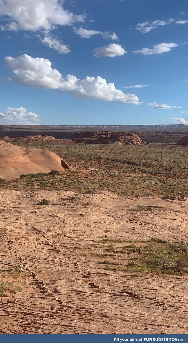 Found the Alaskan bull worms cave while hiking near Kanab, UT