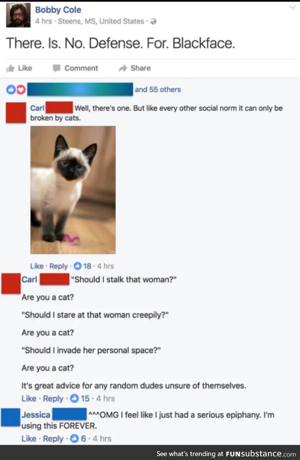 Are you a cat?