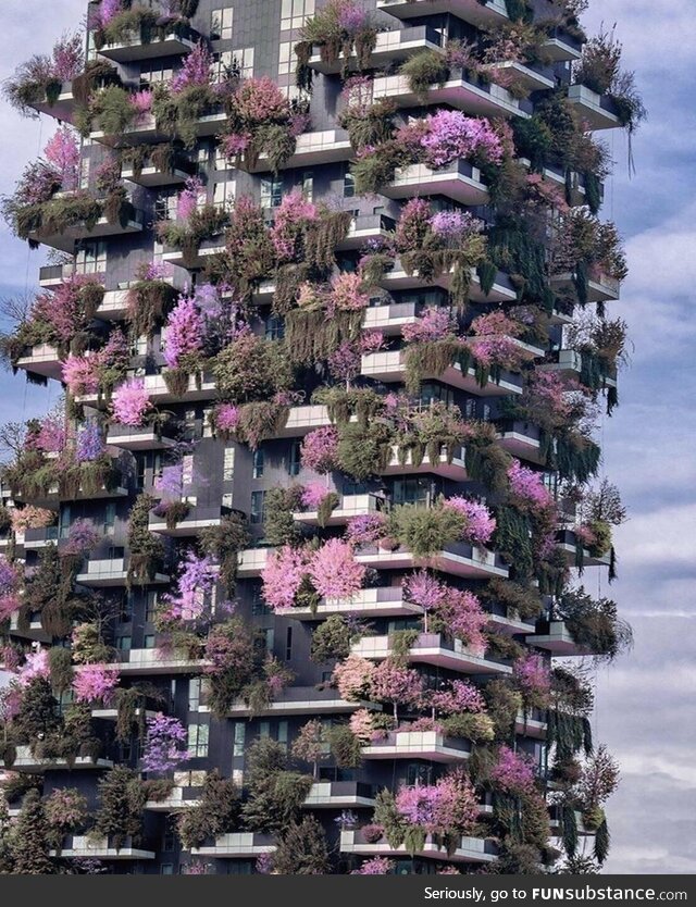 Bosco Verticale in Milan, Italy