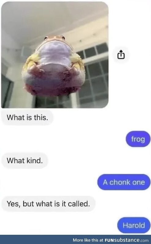 Identifying Chonk