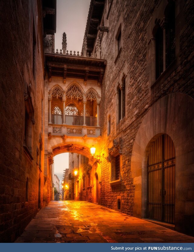 Gothic Quarter  Barcelona - Pont del Bisbe