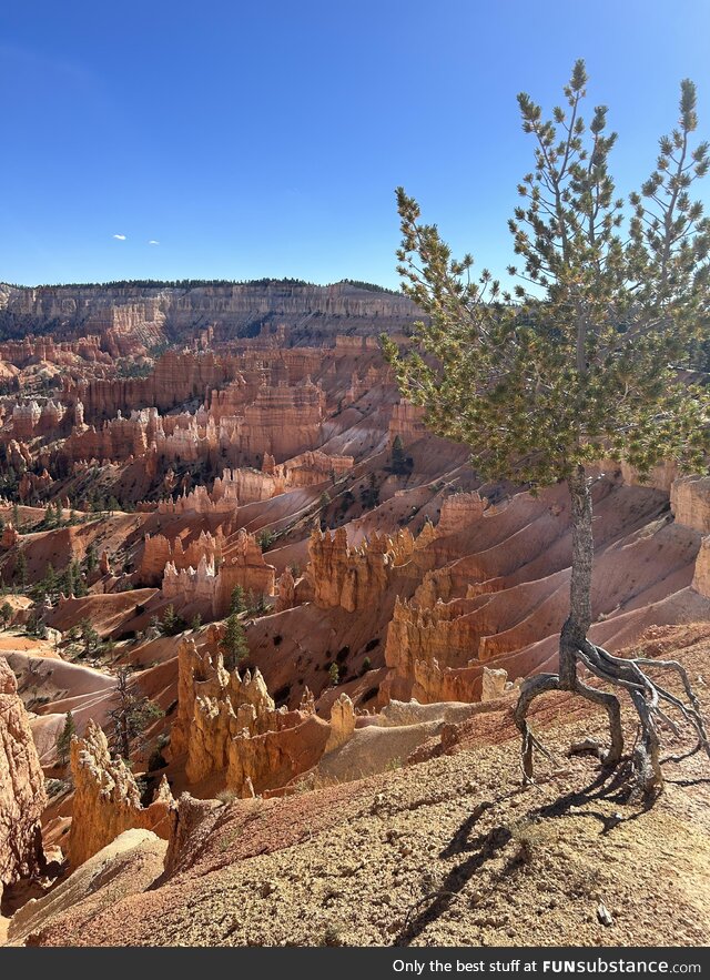 Bryce canyon - utah