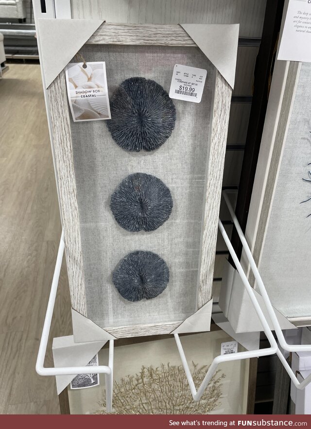 HomeGoods is selling art for proctologists’ offices