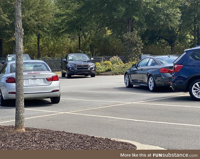 Even the dealerships park them like assholes