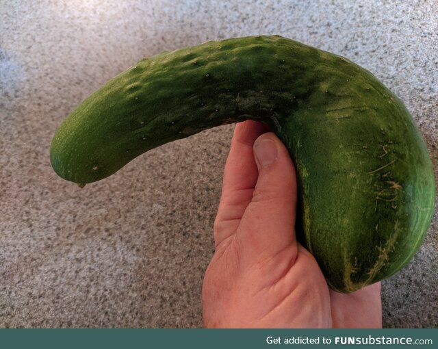 A cucumber my mom grew in her garden (OC)