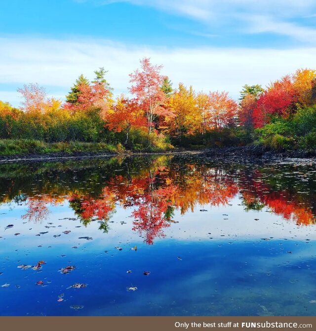 New Hampshire Fall foliage yesterday