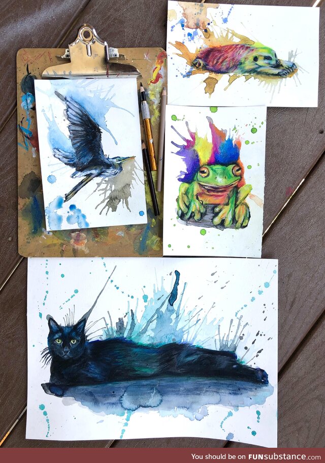 [OC]Finished these drawings today, 3 sploots and a frog